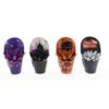 image ECHEVERIA MIRANDA TEINTE HALLOWEEN