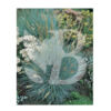 image FESTUCA GLAUCA BLUE SELECT