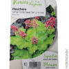 image HEUCHERA LITTLE CUTIE SWEET TART