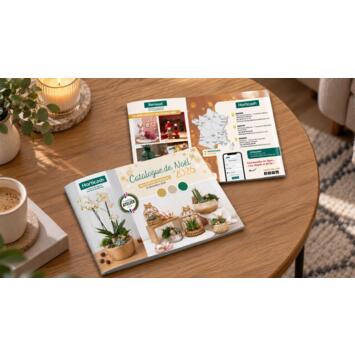 Horticash Catalogue Noël 2026