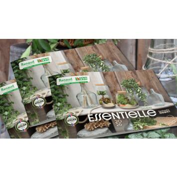 Gamme Essentielle 2026