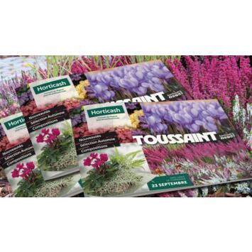 Horticash Catalogue Toussaint 2026