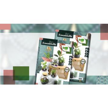Gamme Essentielle 2023