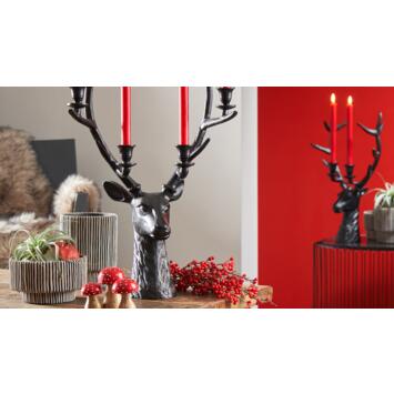 Florissima Noël