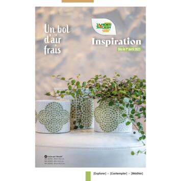 CAHIER INSPIRATION AVRIL : un bol d'air frais