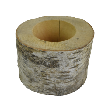 image POT BOULEAU D10 H10CM
