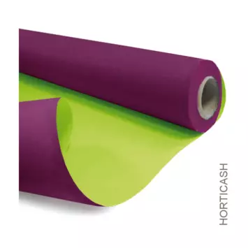 image KRAFT BLANC 60GR RV VERT/BORDEAUX 0.70X100M