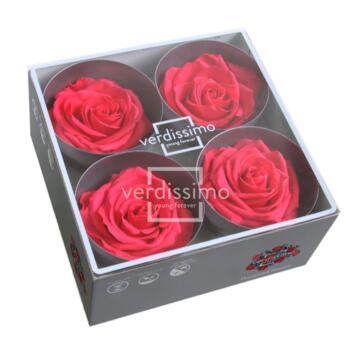 image ROSES STABILISEES PREMIUM ROSE FONCE x4