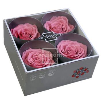 image ROSES STABILISEES PREMIUM CERISE VINTAGE x4