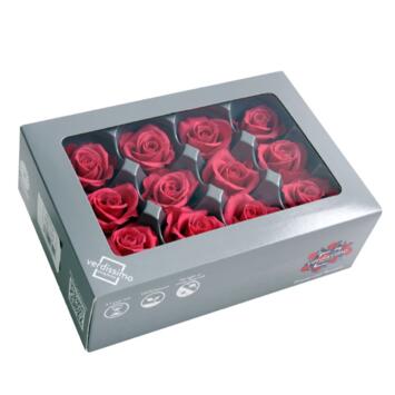 image ROSES MINI 12 TETES ROSE FONCE x12