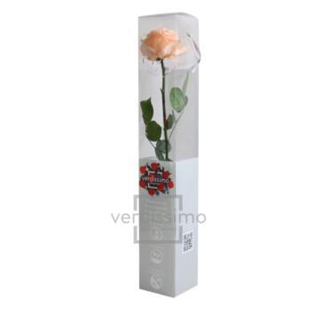 image BOITE ROSE SUR TIGE STAB PECHE