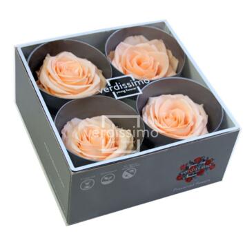 image ROSES STABILISEES PREMIUM PECHE x4