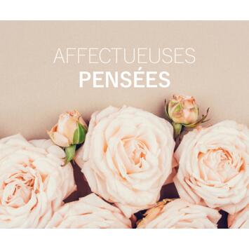 image CARTE MIDI 9.7X7.7CM AFFECTUEUSES PENSEES