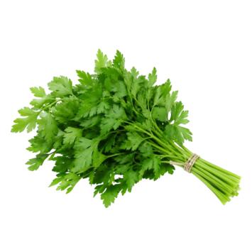 image PERSIL