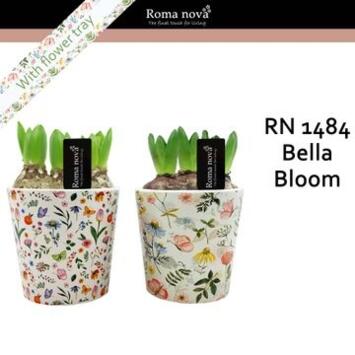 image JACINTHE X3 CERAM