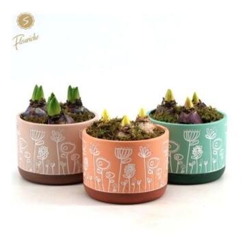 image JACINTHE X3 CERAM