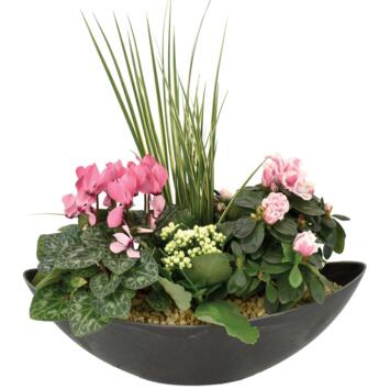 image BAC EXT FLEUR