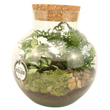 image TERRARIUM ARCHELON 20