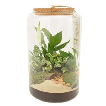 image TERRARIUM GOPHERUS 20