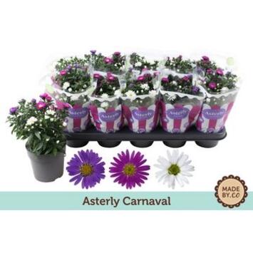 image ASTER 3COULEURS