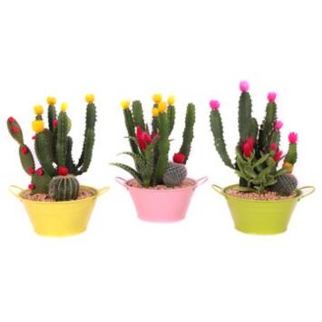 image CACTUS FL IMIT COUPE ZINC COLORE