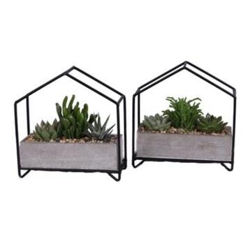 image SUCCULENTE X3 JARD BOIS METAL