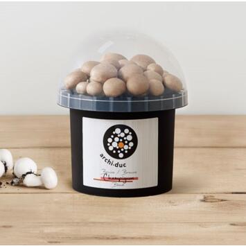image CHAMPIGNON BRUN KIT
