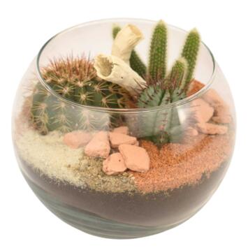 image VERRERIE NUBIE 20