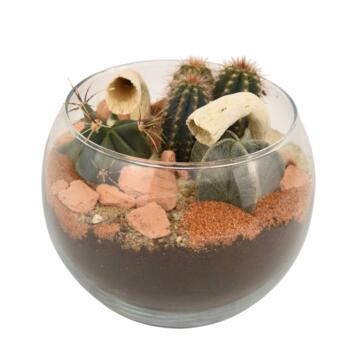 image VERRERIE GOBI 20