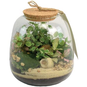image TERRARIUM EMYS 20