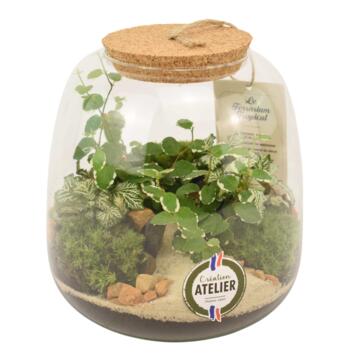 image TERRARIUM EMYS 20