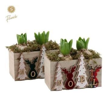 image JACINTHE X2 BOIS DECO