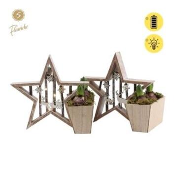 image JACINTHE X2 BOIS DECO ETOILE