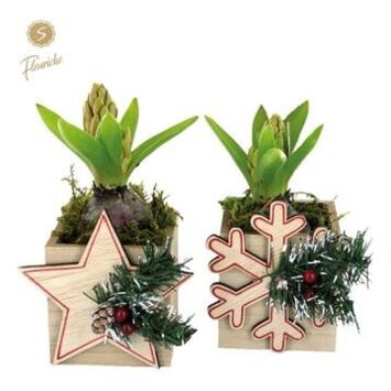 image JACINTHE X1 BOIS DECO NOEL