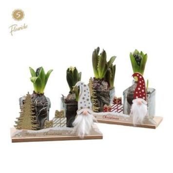 image JACINTHE X1 BOIS DECO NOEL