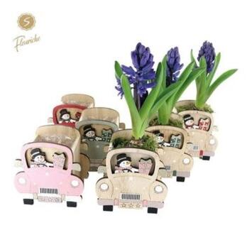 image JACINTHE X1 VOITURE BOIS