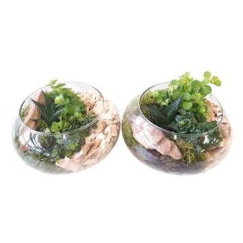 image COMPO 3 PLANTES COUPE VERRE