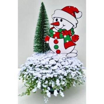 image HELXINE GIVRE BONHOMME DE NEIGE