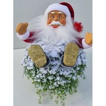 image HELXINE GIVRE PERE NOEL