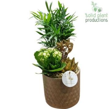 image COMPO 3 PLANTES OR CERAM