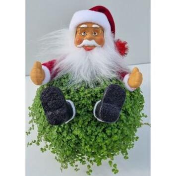 image HELXINE DECO PERE NOEL