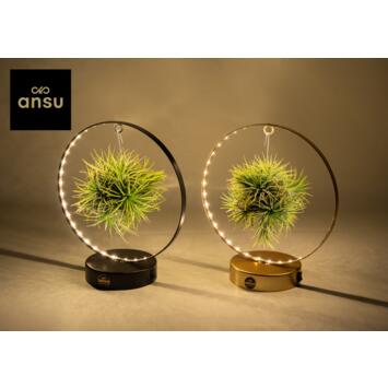 image TILLANDSIA METAL SUSP