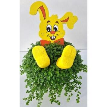 image HELXINE VERTE DECO LAPIN