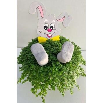 image HELXINE VERTE DECO LAPIN