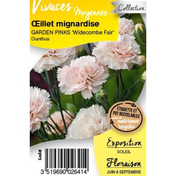 image OEILLET PLUMARIUS WIDECOMBE FAIR BQ10