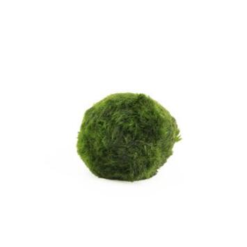 image MOUSSE BOULE