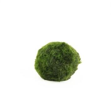 image MOUSSE BOULE