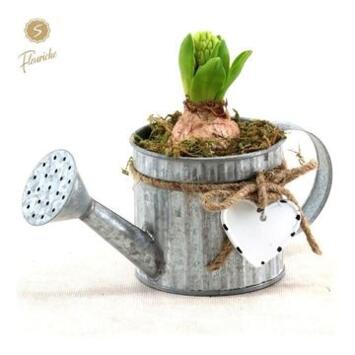 image JACINTHE X1 ARROSOIR ZINC