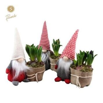 image JACINTHE 2PP VANNERIE