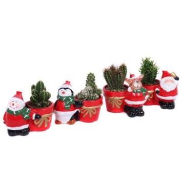 image CACTUS VARIE CERAM DECO NOEL